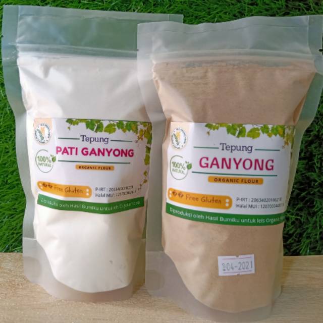 

TEPUNG PATI GANYONG ORGANIK