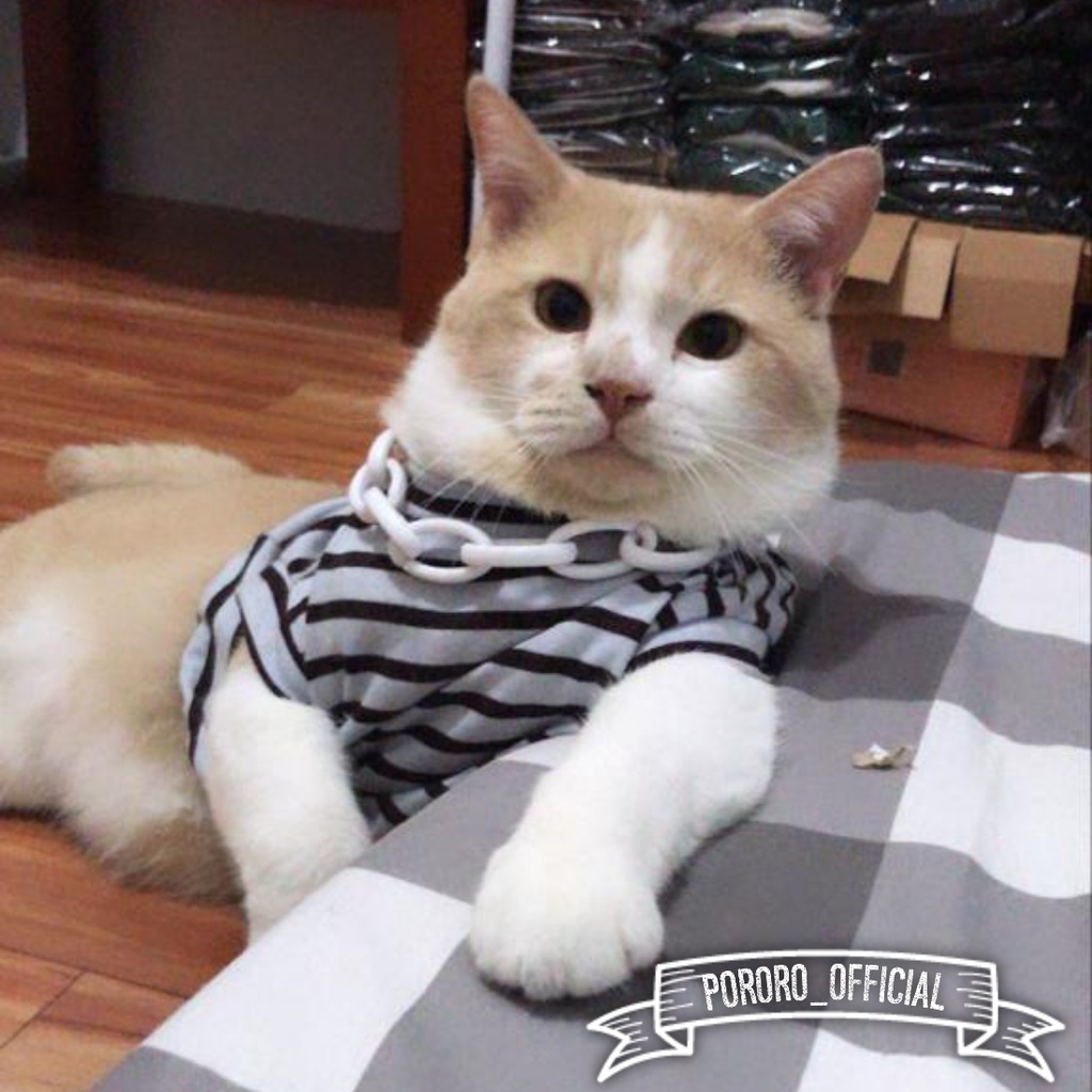 Baju Kucing Murah Lucu Asesoris Hewan Hitam Garis Garis