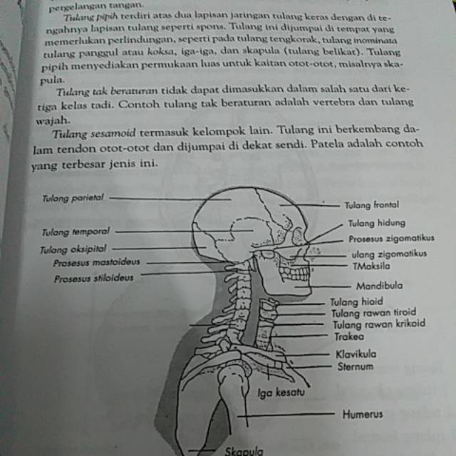 Buku Anatomi Dan Fisiologi Untuk Paramedis Evelyn Shopee Indonesia