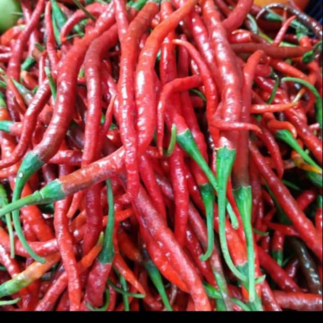 

Cabe Merah 500 gram