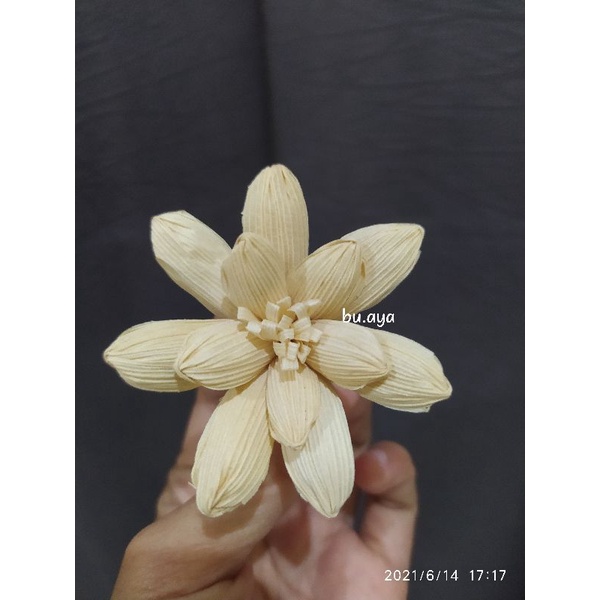 BB5 - Bunga Klobot CL1 Bunga Kulit Jagung Bahan Mahar