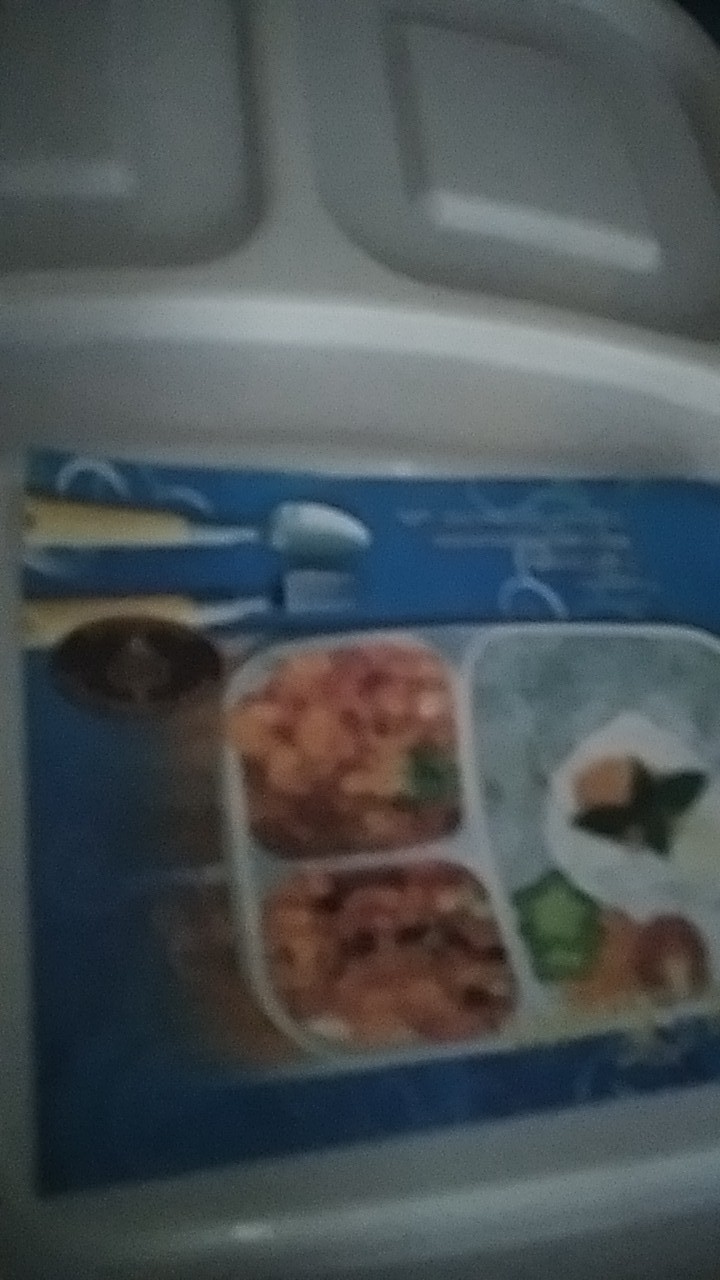 Lunch Box / Kotak Makan 3 Sekat
