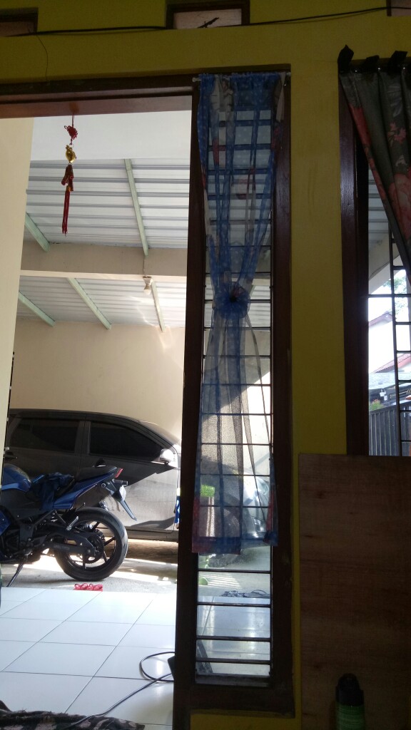 Gorden Minimalis / Gorden Kupu-kupu / Gorden Hello Kitty