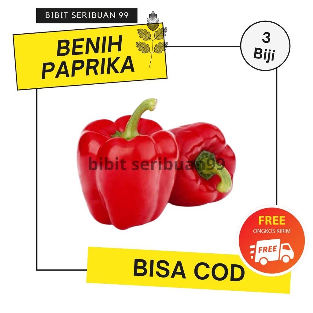 Benih Paprika Merah Red Star Bibit Paprika