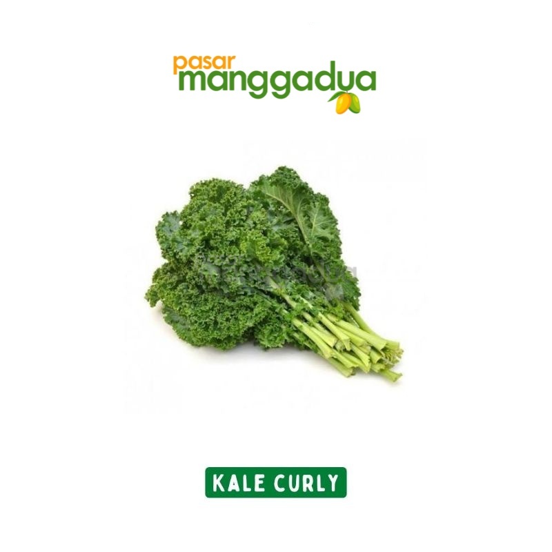 

Kale Curly / Kale Keriting 500 Gram / Produk Musiman
