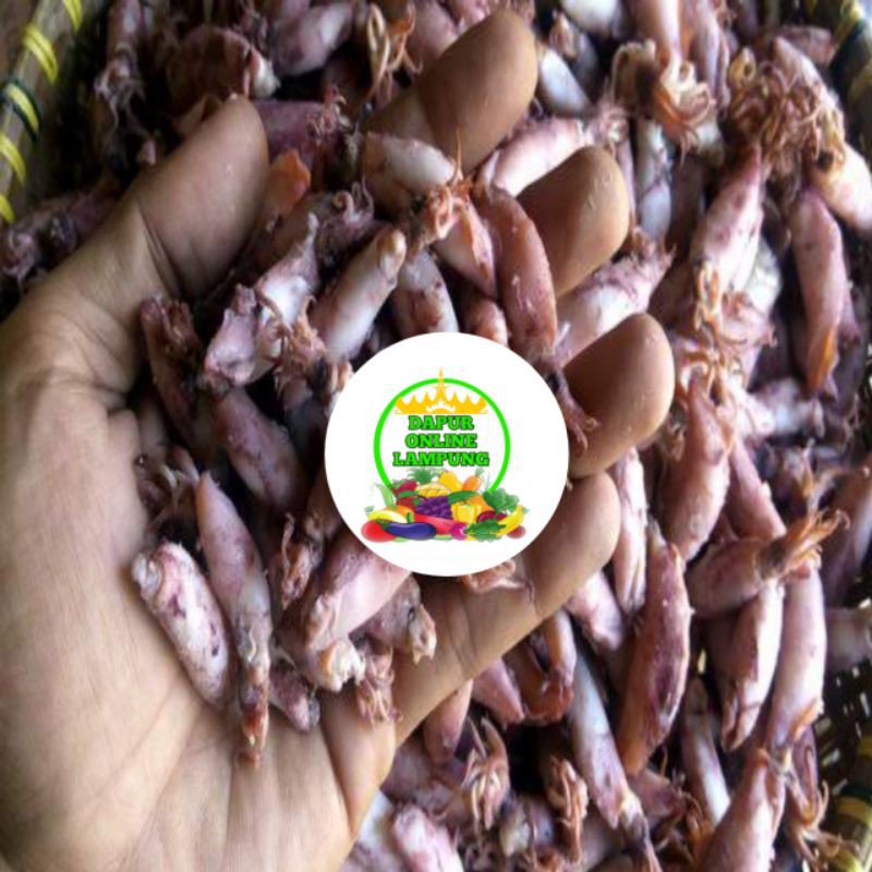 

BABY CUMI CUMI KERING ASIN FRESH Bandar Lampung