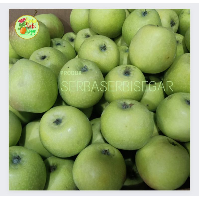 

APEL MALANG MANALAGI 1KG