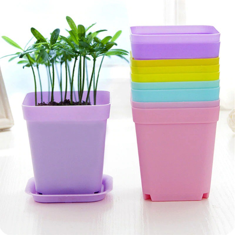 BOSJKT0018 Pot Mini Kotak 7CM Rainbow Pastel Series Persegi Mini Pot Kaktus / Pot Sukulen