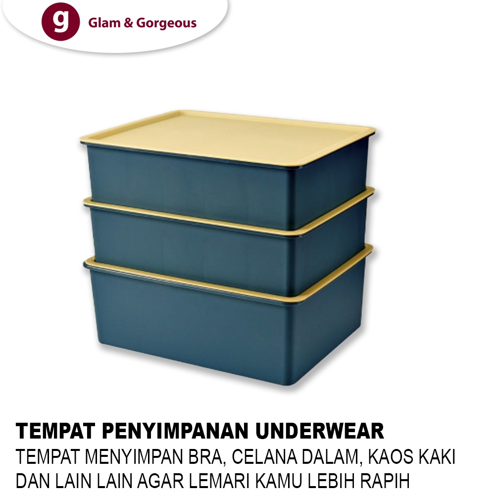 Kotak Penyimpanan Underwear Pakaian Serbaguna Plastik Tempat Kotak Organizer Storage Box - USB010