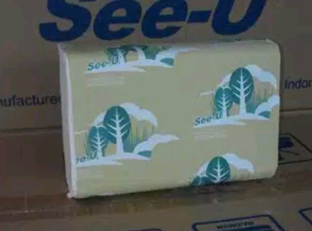 Tissue Hand Towel Multifold See-u