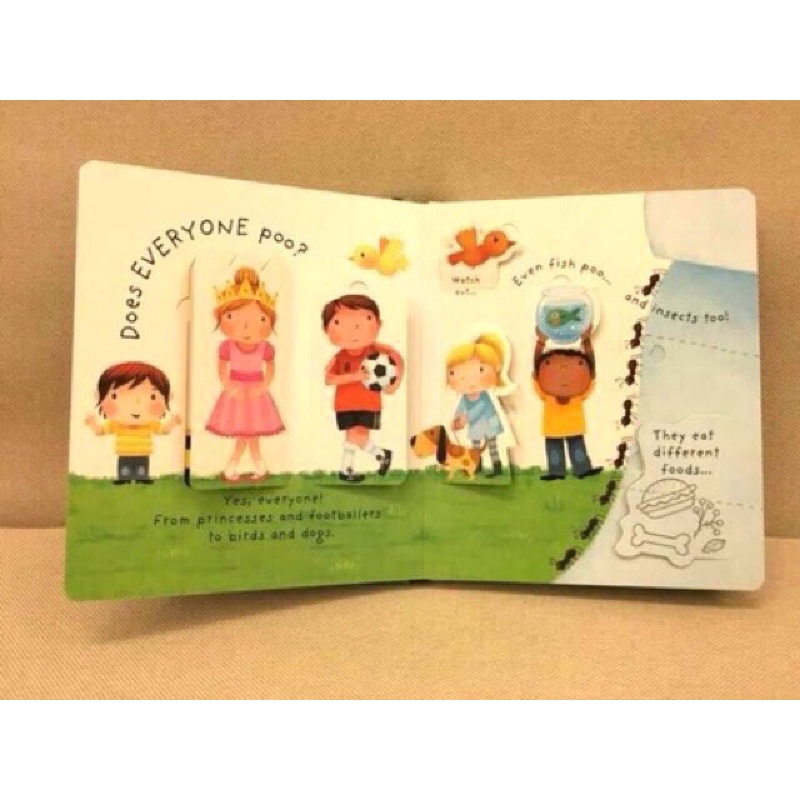 Usborne lift the flap what is poo - buku import anak