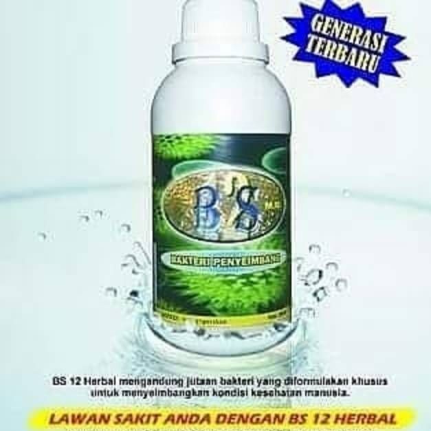 OBAT HERBAL BS 12 probiotik