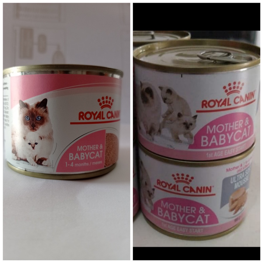 Royal canin mother baby 195gr makanan kucing 195 gr