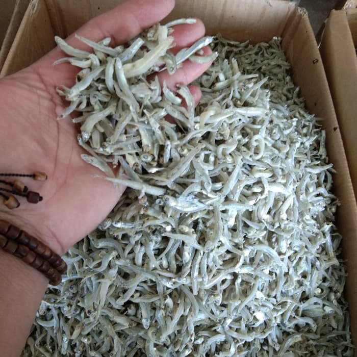 

teri buntio atau teri kecil buat masak balodo