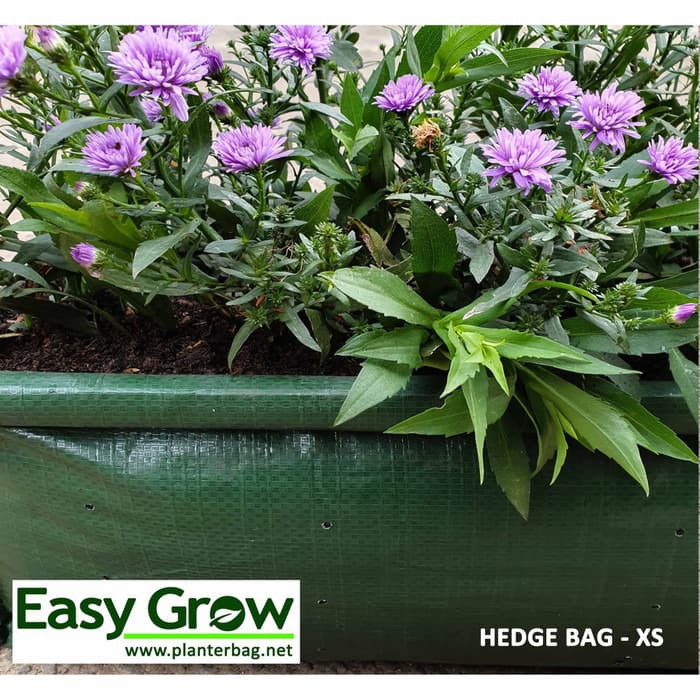 Hedge Planterbag Small kantong Pot polybag bibit Tanaman pagar bunga sayuran buah planter bag