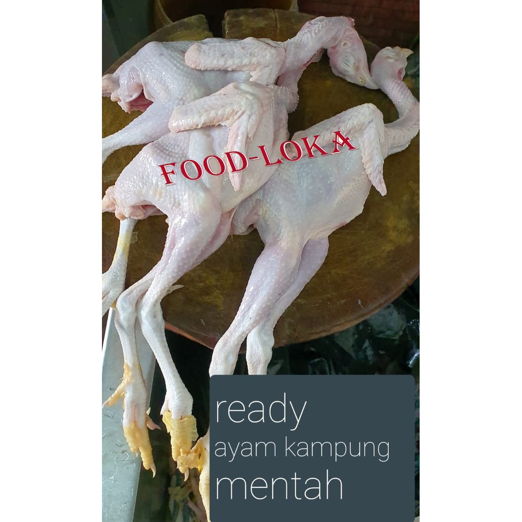 

Ayam kampung mentah komplit - Ayam mentah sedang 1 ekor