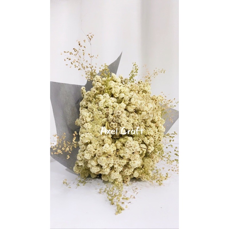 Bunga kering Buket / Buket Bunga Kering Besar / Bunga abadi / Hand Bouquet flower / Buket bunga