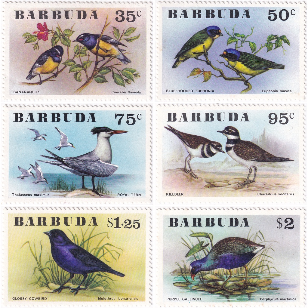 

Prangko Barbuda 1976 - Birds