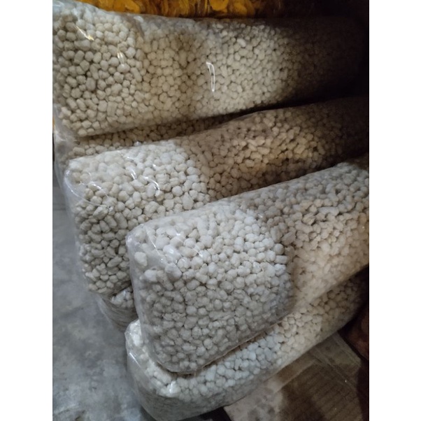 

pilus cikur cikruk 3kg