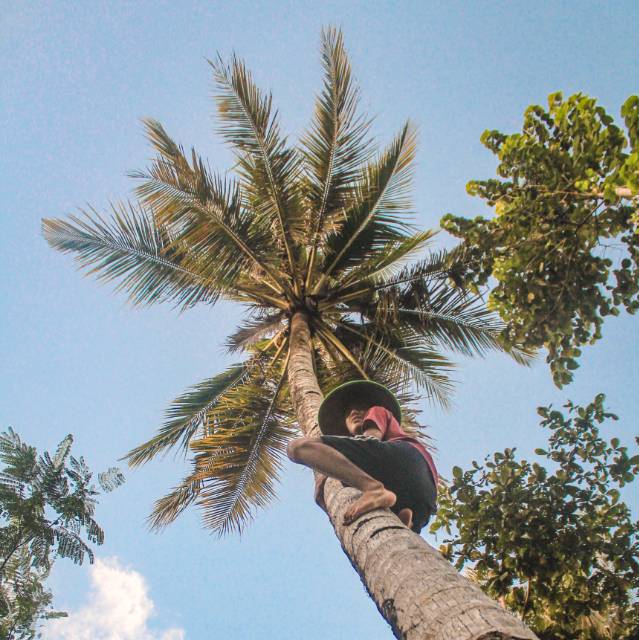 bintangaryanugraha