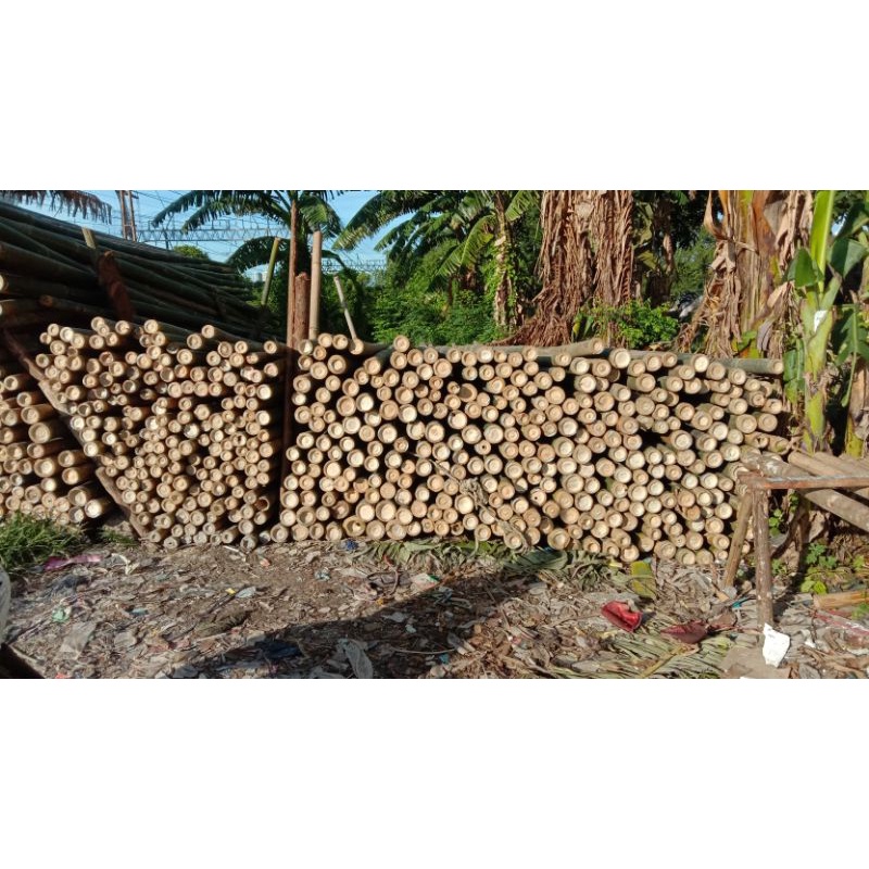 jual bambu steger 78