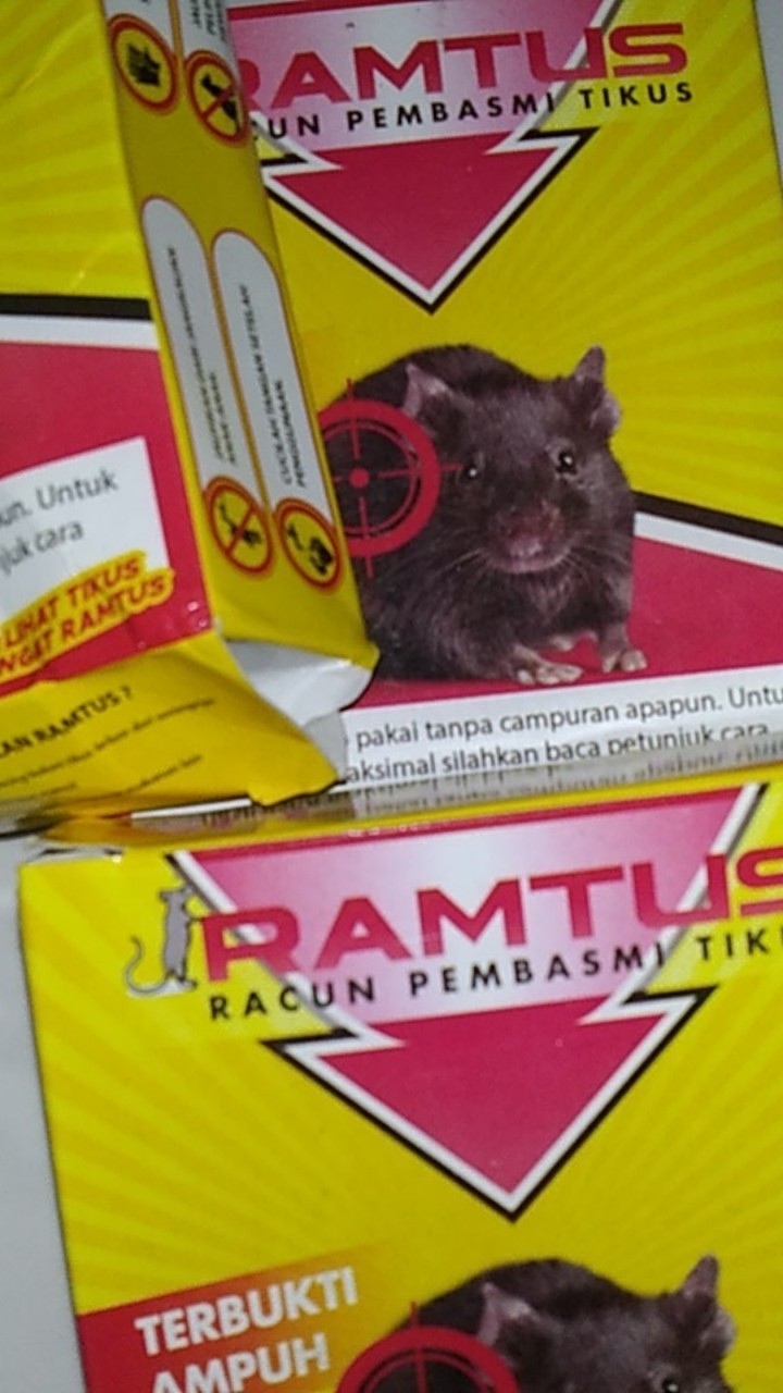 Ramtus Racun Tikus Got Curut Paling Ampuh Pembasmi Tikus Dirumah Racun Tikus Di Mesin Mobil 2 Pack