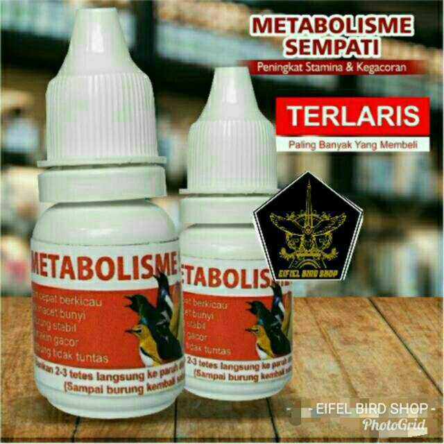 METABOLISME SEMPATI VITAMIN BURUNG metabolisme cair