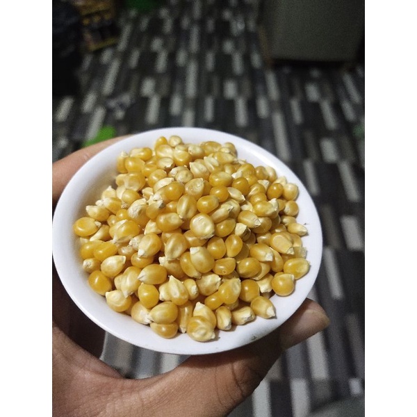 

Jagung Popcorn 250 gr