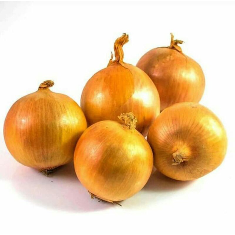 

bawang bombay
