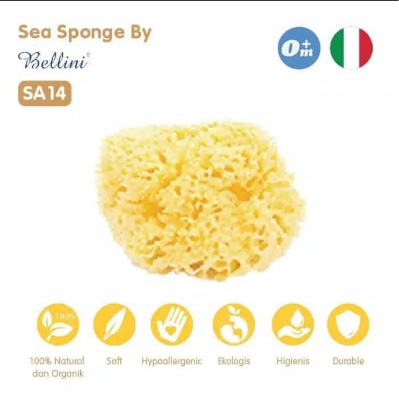 Lea Sponge Bellini SA14