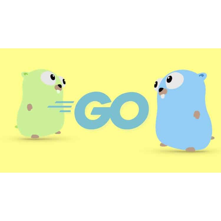 Go (Golang): The Complete Bootcamp (Udemy Course)