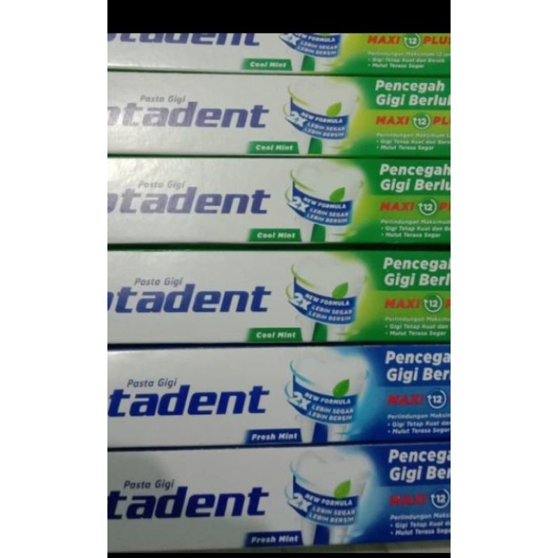 CIPTADENT 190GR