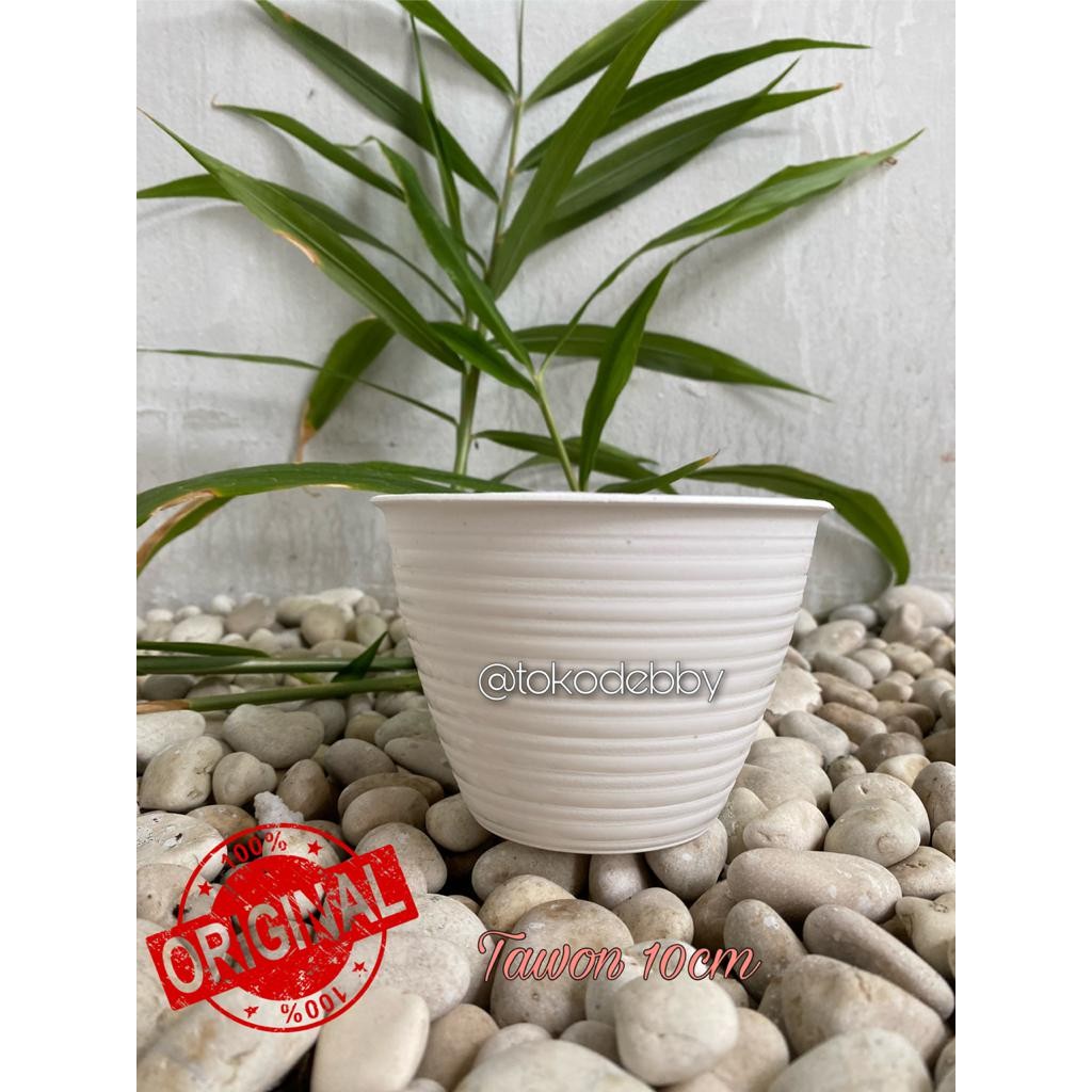 Pot Tanaman dan Bunga Plastik Putih Tawon 10 cm Shopee Pot Tanaman dan Bunga Plastik Putih Tawon 10 cm Shopee