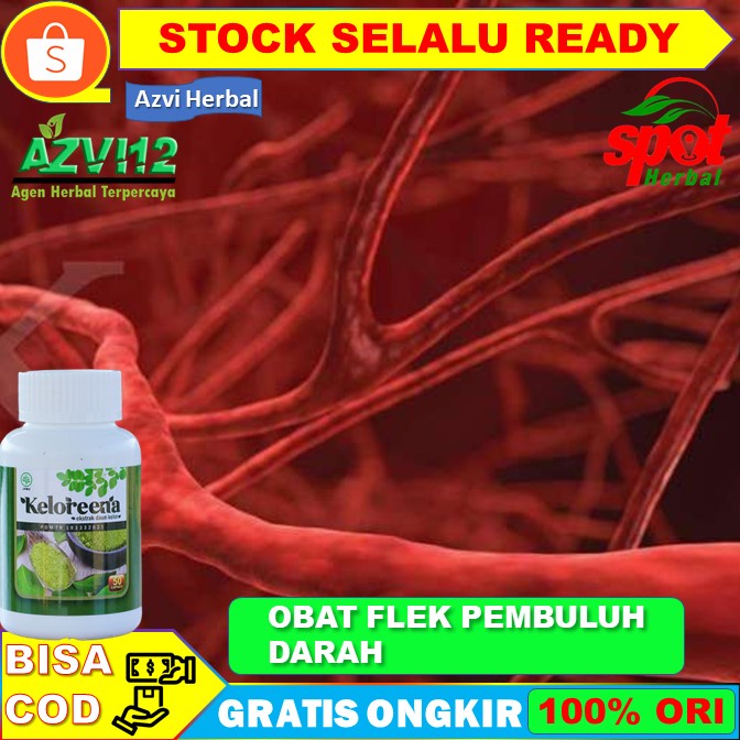 Jual Obat Aterosklerosis Flak Penghancur Flek Pembuluh Darah