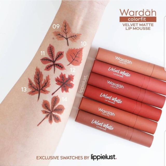 Wardah Colorfit Velvet Matte Lip Mousse 4g (100% Original)