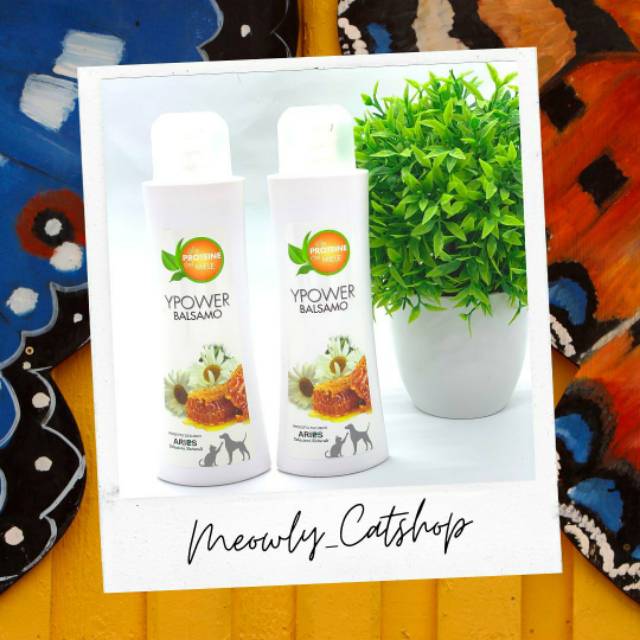 Ypower Balsamo