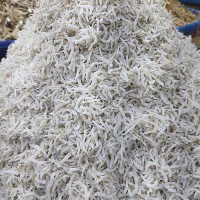 

[COD] TERI MEDAN GRADE A KASAR TERMURAH [COD]