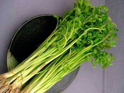 

LALAPAN SEGAR TESPONG 100 GRAM