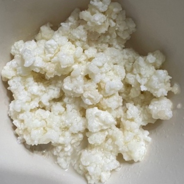 

Kefir Grains (Bibit Kefir)