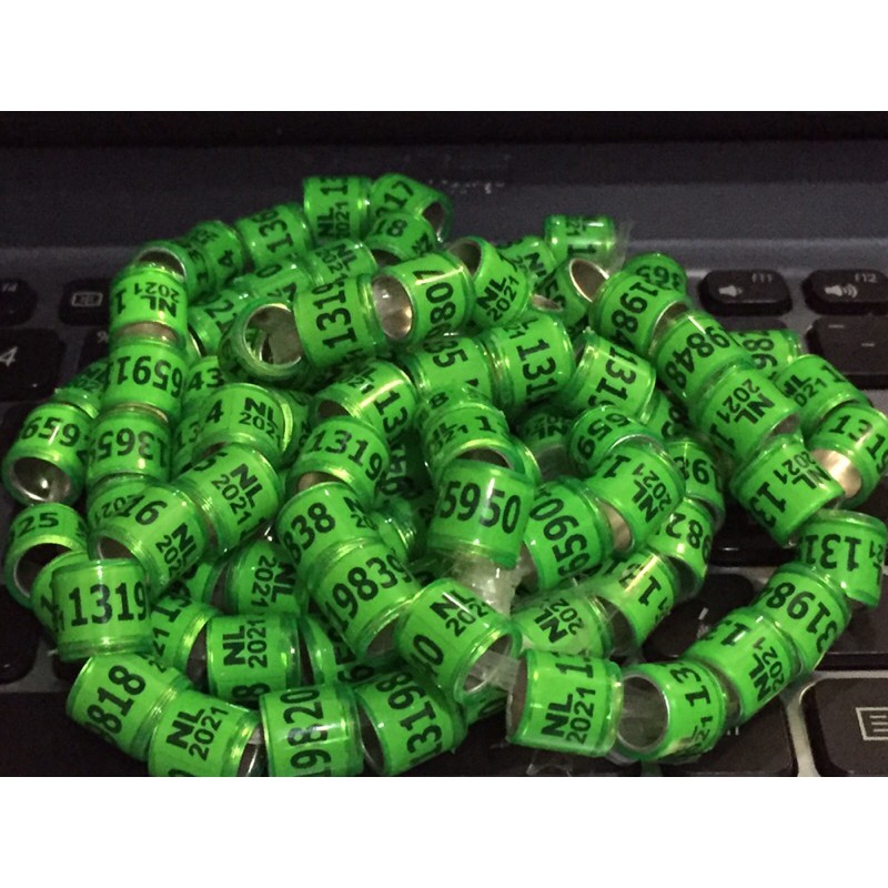 Ring Merpati Impor NL 2021