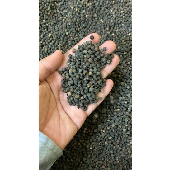 

bumbu Lada Hitam Butir 550 GPL