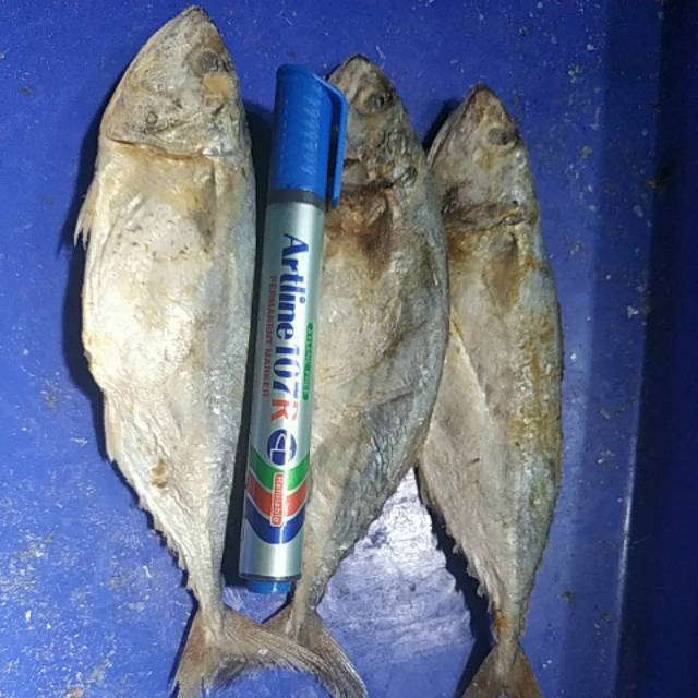 

Peda Putih Jumbo/Ikan Kembung/Peda Siam 1 Kg