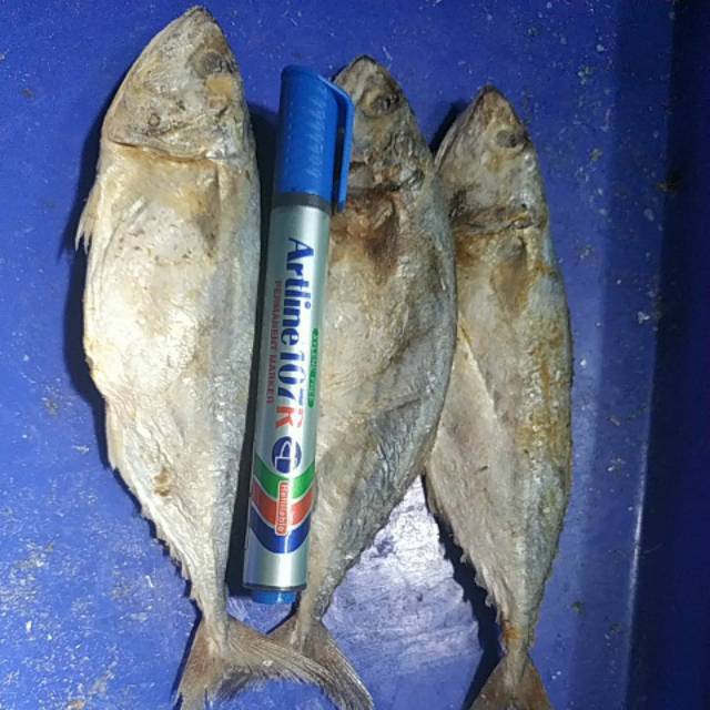 Jual Peda Putih Jumbo Ikan Kembung Peda Siam Kg Shopee Indonesia