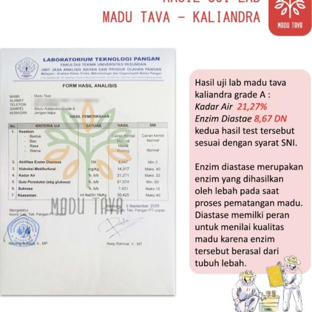 

MADU MURNI ASLI TAVA 1KG NEKTAR KALIANDRA 100% PURE RAW HONEY ALAMI