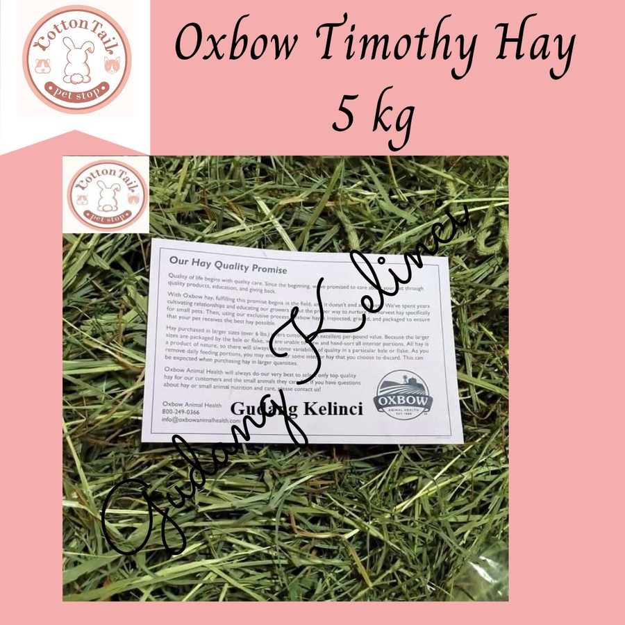 Oxbow Western Timothy Hay , Rumput , Makanan Kelinci Cavy , Repack 5kg