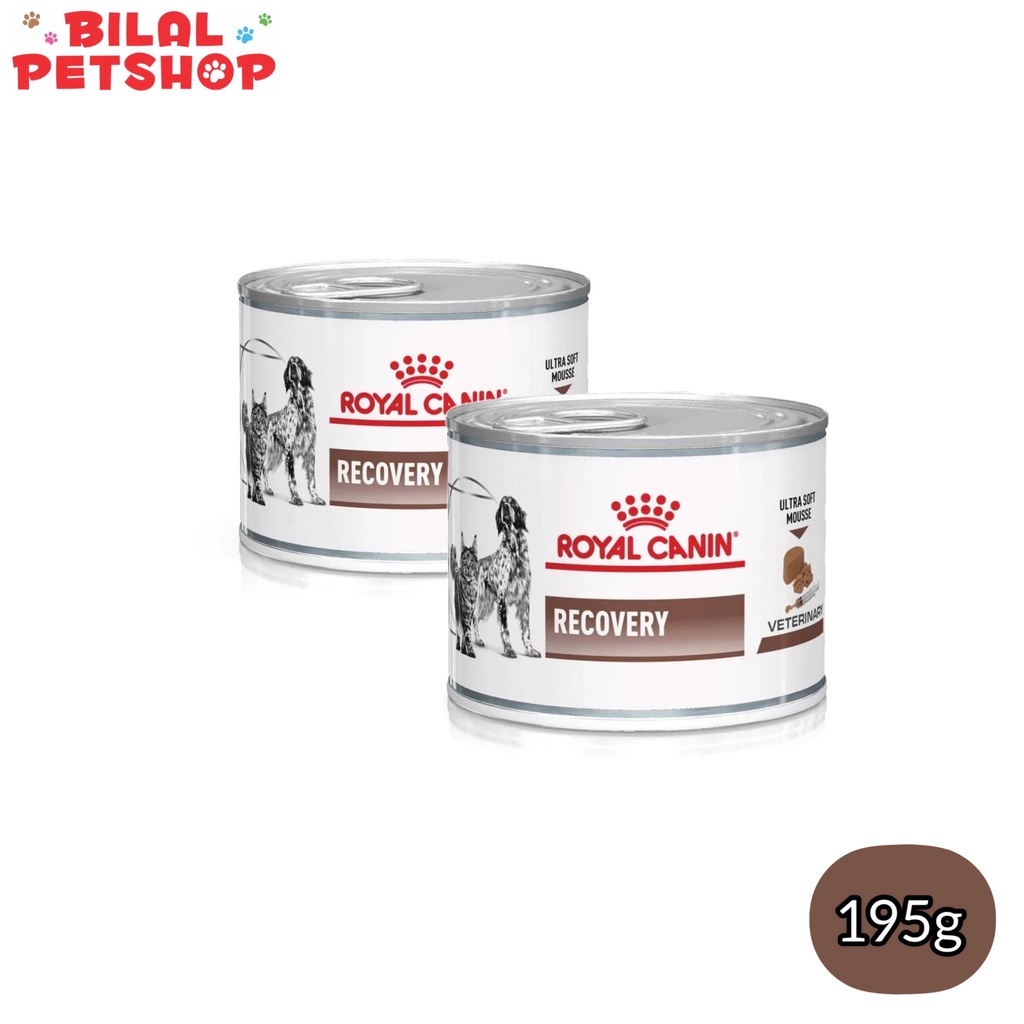 royal canin recovery dog   cat 195gr makanan kaleng anjing   kucing