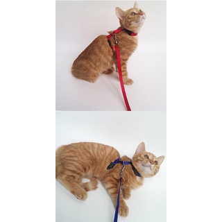 Harness Polos Model H Tali Penuntun Kucing