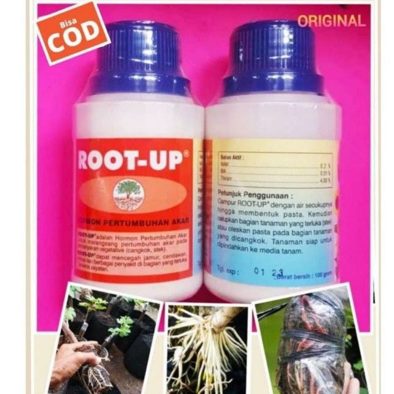 ROOT UP 100gr HORMON PERANGSANG AKAR TANAMAN