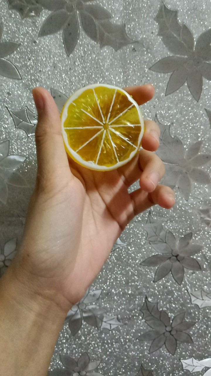 Lemon Slice Artifisial/properti Foto
