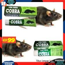 ( PROMO 99 ) Lem Tikus / Jebakan Tikus / Cobra / Lem Tikus Cobra Super Lengket Ampuh &amp; Berkualitas